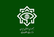 وزارت اطلاعات یک تروریست با دامنه فعالیت فرامرزی را دستگیر کرد